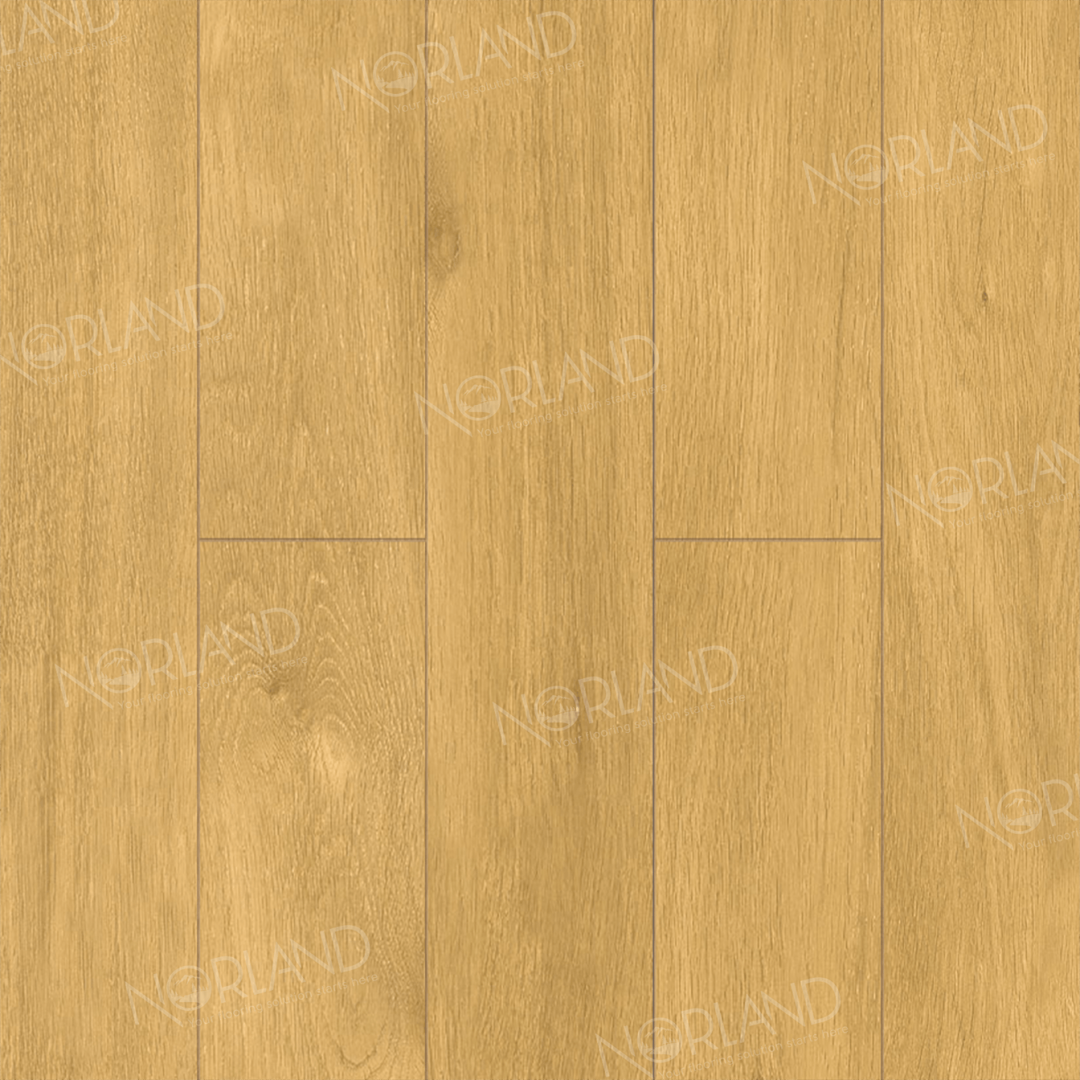 LF301_12_3_11zon-1.png